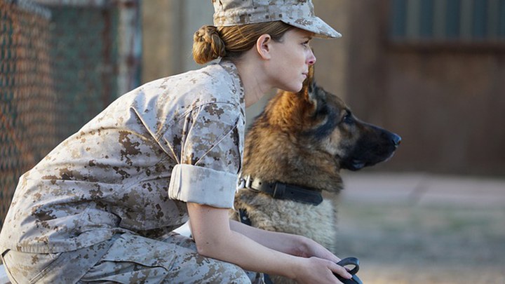 丝绸之路传奇 电视剧