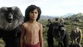 长津湖盗版在线观看