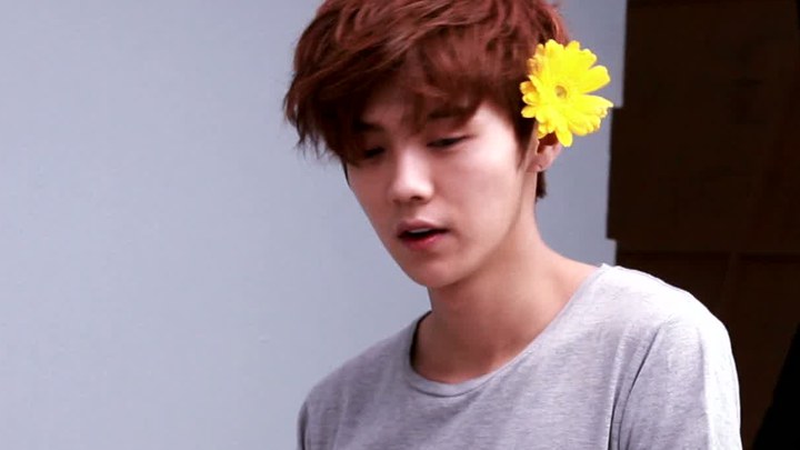 画江湖之不良人5免费观看全集