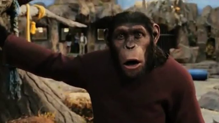 漂白电视剧全集免费观看中文版