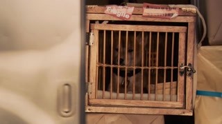 鬼灭之刃第4季在线播放