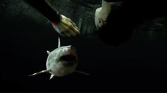 名侦探柯南唐红的恋歌