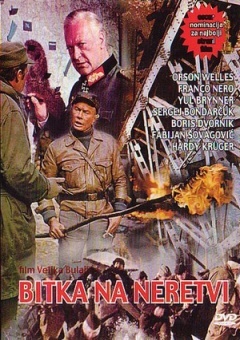 倒霉熊杯子之旅