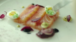 翼空之巅动画片