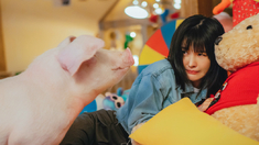 披荆斩棘第二季在线观看高清