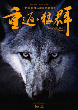 迷雾中的狙击手