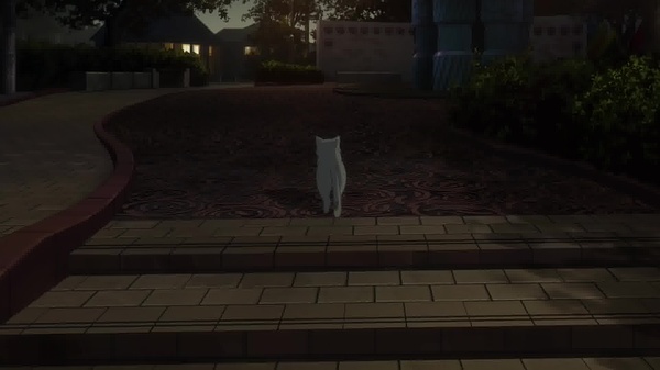 反击电视剧全集