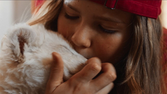 骄阳伴我电视剧在线观看