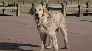 假面骑士000全集