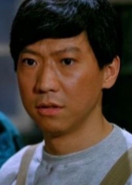 招惹电视剧在哪播