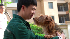 伊克西翁传说dt