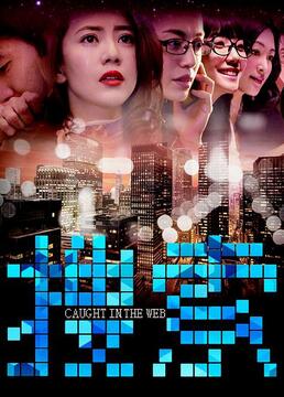 又见一帘幽梦全集