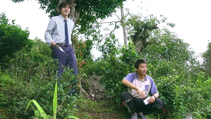 八角笼中在线观看免费