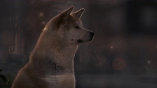 斗罗大陆2电视剧