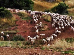 黑子的篮球 第三季