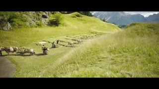 我的野蛮女友1电影