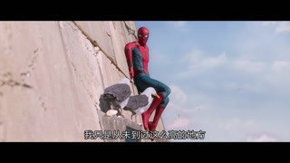 猪猪侠之变身小英雄