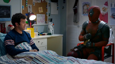 十七岁高清完整版在线观看视频