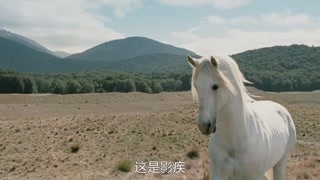 校花诡异事件电影