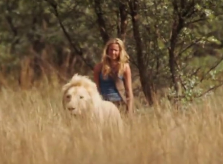 新闺蜜时代电视剧全集