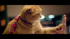 草榴 新时代的我们