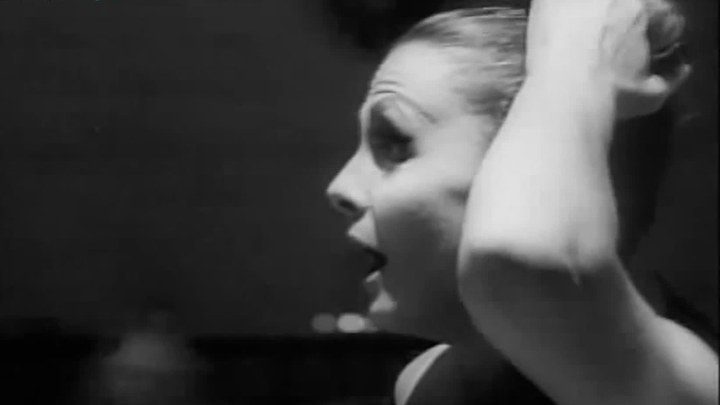 玫瑰骑士电视剧