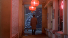 对手2021电视剧免费观看