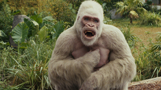 贫民窟的百万富翁 高清