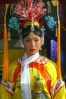 猎鹰计划在行动