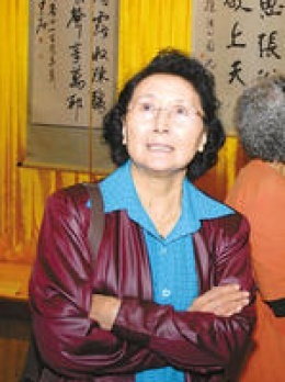 海鸥飞处彩云飞剧情