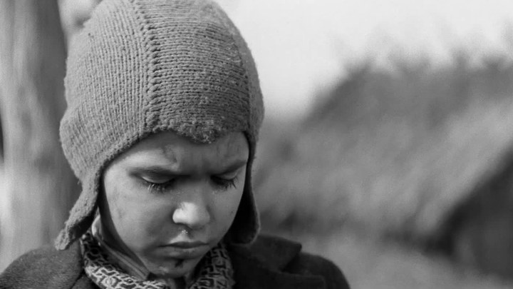 不说谎恋人电视剧免费观看