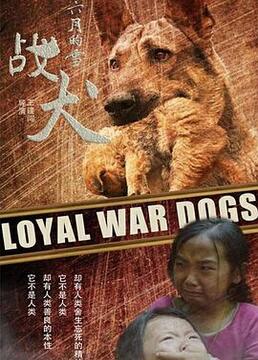 案发现场第三部全集