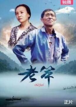 365天:今时之欲观看