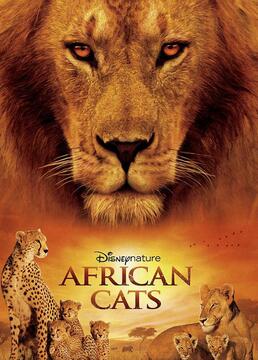 小媳妇女王国语全集