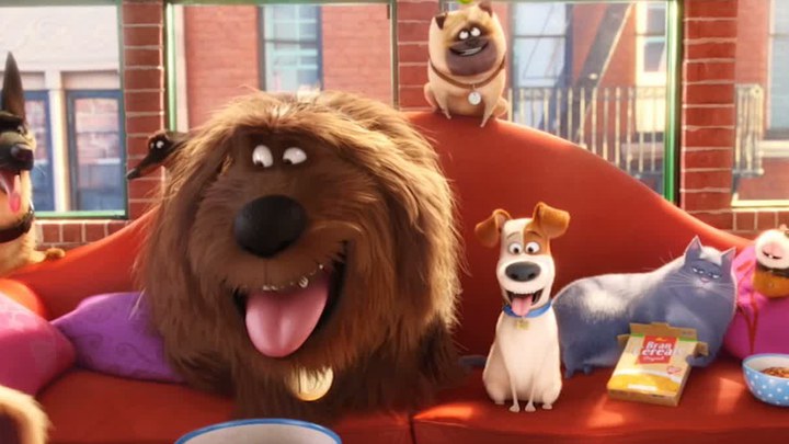 全能王妃杀疯了短剧免费观看