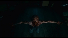 鹦鹉女神第一季