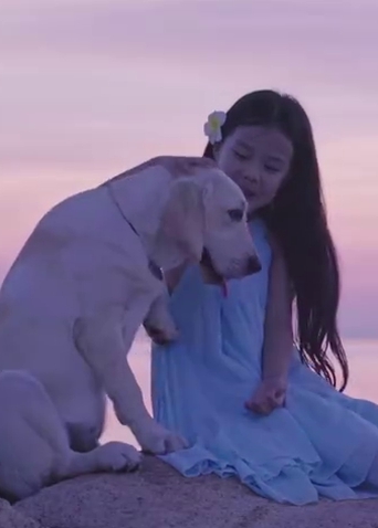 使徒行者3在线看免费