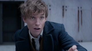 欲望都市第二季