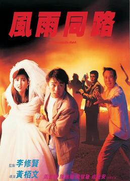 度华年电视剧免费观看在线播放