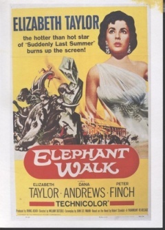 防弹武僧百度影音