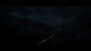 摧花狂魔电影在线观看