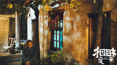 玫瑰藏于盛夏短剧