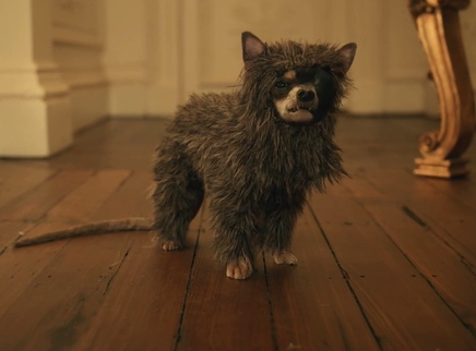 消失的球神短剧在线观看