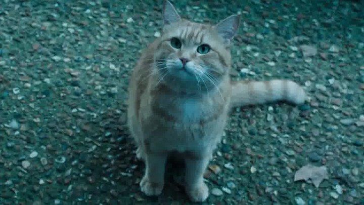 倚天屠龙记邓超