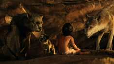 马达加斯加3粤语