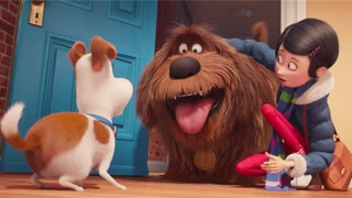 电视剧神枪在线观看