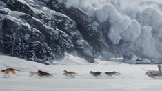 扑通扑通喜欢你电视剧全集免费观看