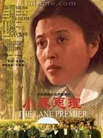 母亲中文版免费观看电视剧