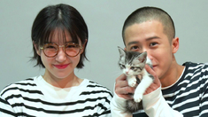 湘西诡案电影完整版在线观看