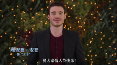 勋章全集在线观看